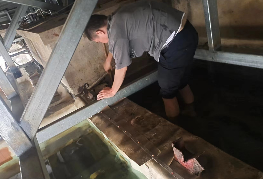 長運(yùn)物業(yè) 開展全面清理屋頂排水溝行動