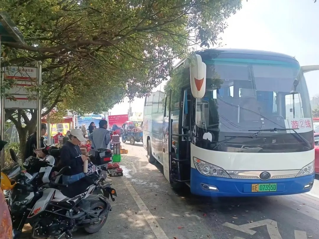 馬鞍山長(zhǎng)客:開通2024年大青山“桃花節(jié)”旅游專線